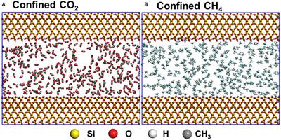 The Role of Surface Hydrophobicity on the Structure and Dynamics of CO2 and CH4 Confined in Silica Nanopores